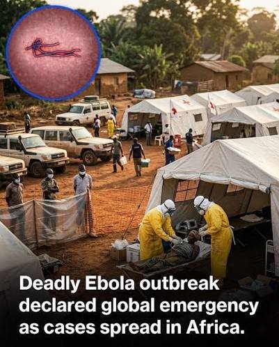 Understanding Ebola Safety Measures During Uganda Safaris