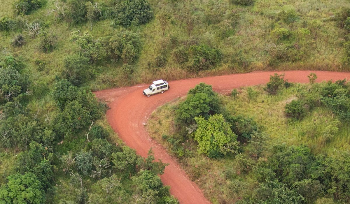 Drone Use on Rwanda Wildlife Safari