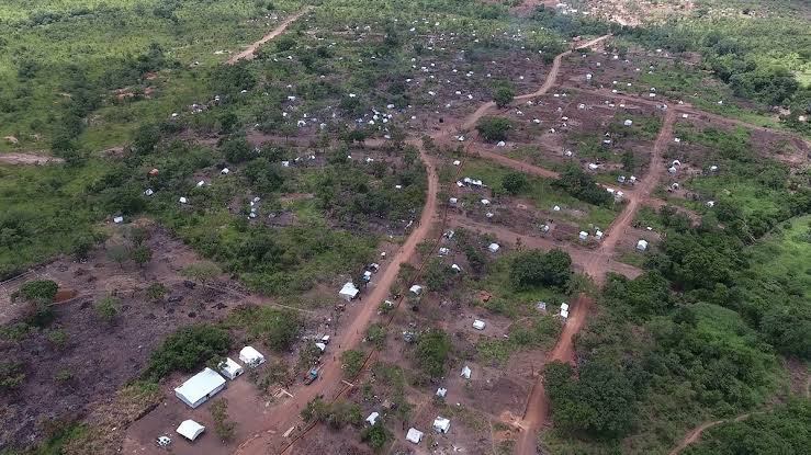 Using Drones on a Safari in Rwanda