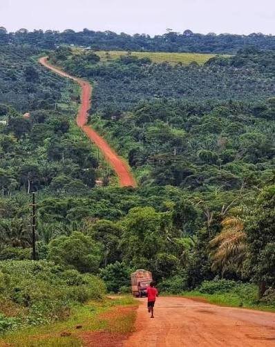 Drone Perspectives on Safari in Rwanda National Parks