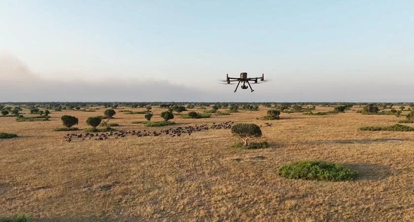 Drone Perspectives on Safari in Uganda