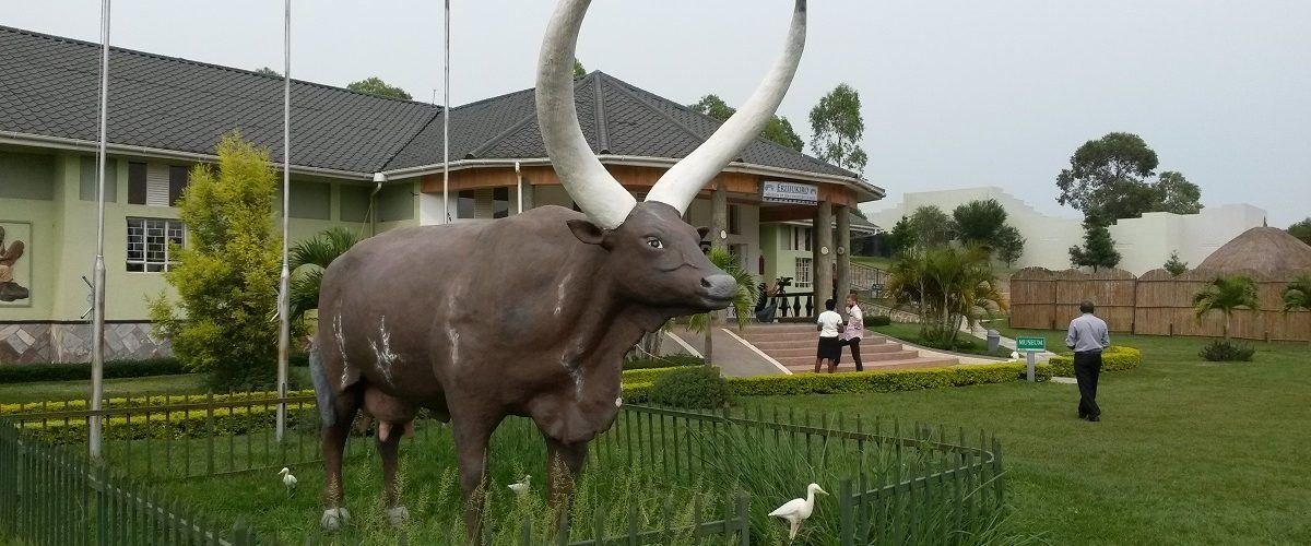 One of the most important Things to Do in Mbarara City is visiting the Igongo Cultural Centre, a leading destination for travellers interested in understanding the history and traditions of western Uganda. Located near