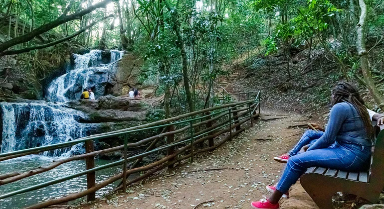 Karura Forest offers a peaceful natural retreat within Nairobi and is perfect for travelers seeking outdoor experiences.The forest features walking trails, waterfalls, caves, cycling routes, and beautiful landscapes.Visitors