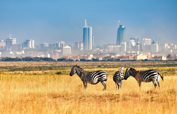 Visit Nairobi National Park Kenya