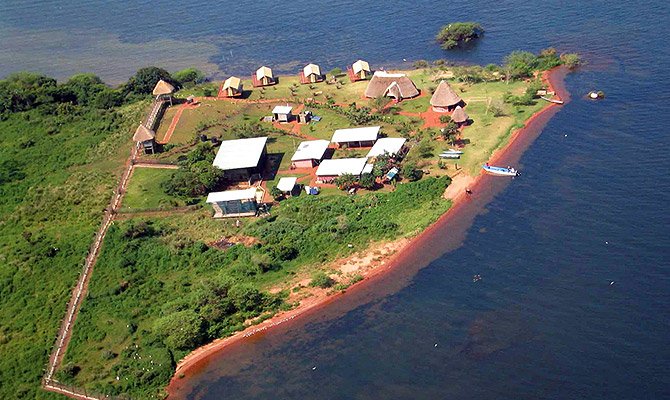Chimpanzee Conservation Experience at Ngamba Island Uganda