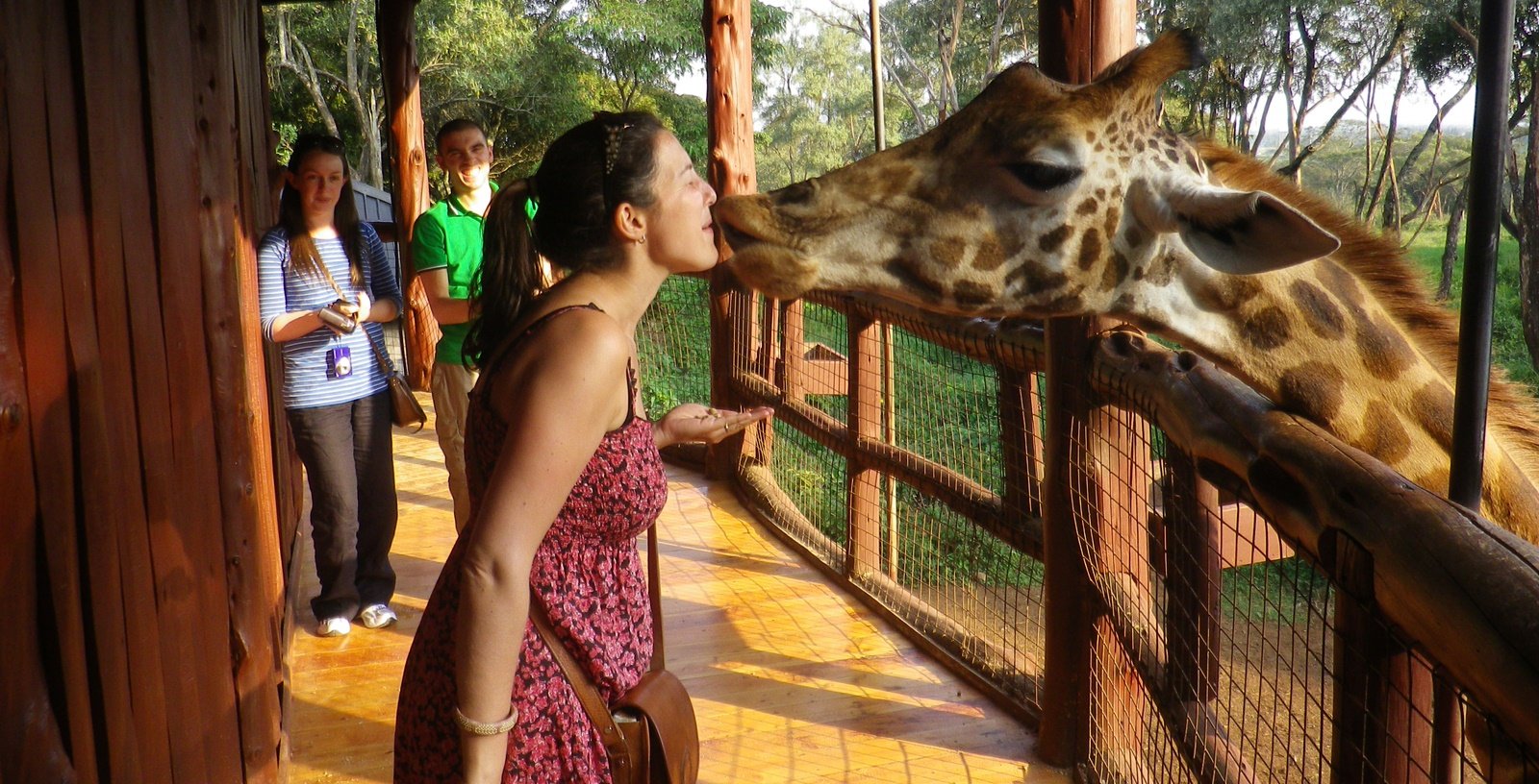 The Giraffe Centre is one of Nairobi’s