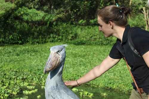 Visiting Entebbe Zoo Uganda Wildlife Conservation Experience
