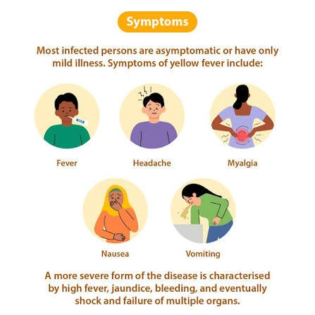 When You Should Receive the Yellow Fever Vaccine for Travel