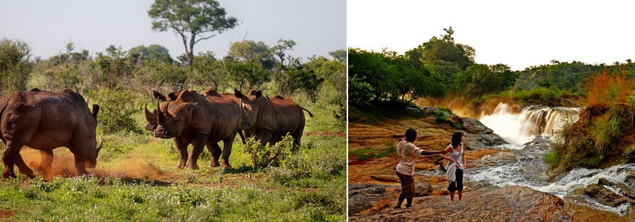 Wildlife Encounters and Adventure Tour