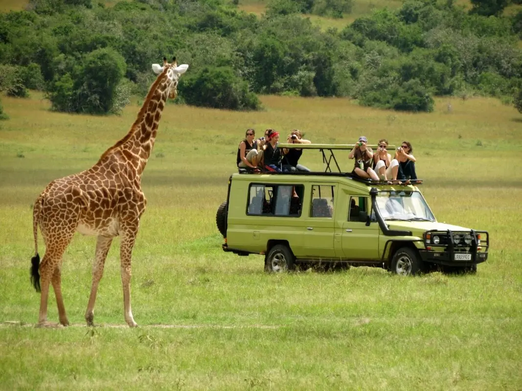 Wildlife Experiences and Adventure..