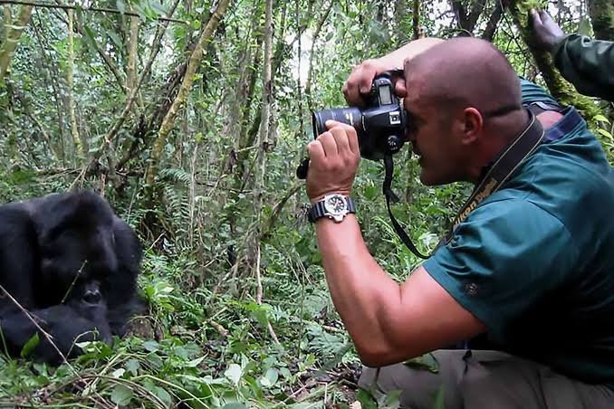 Wildlife Photography Rules in Uganda Safari