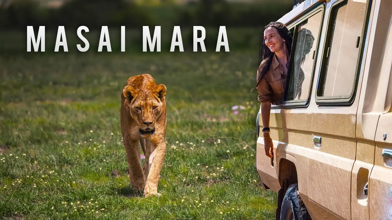 African Safari Wildlife Safety Guidelines