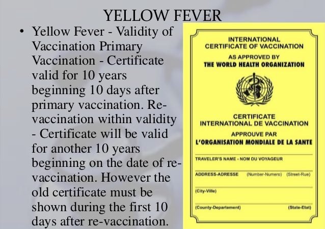 Yellow Fever Vaccination Card Rwanda and Uganda Travel Requirement