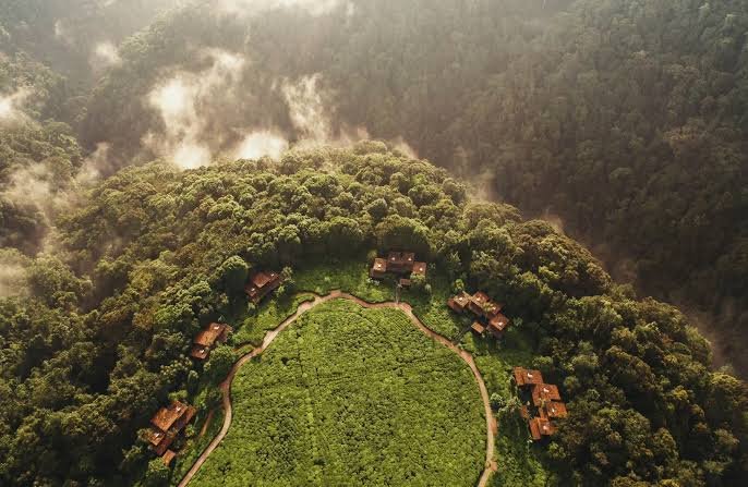 Nyungwe Forest National Park is one of Africa's oldest tropical rainforests and is renowned for its rich biodiversity, canopy walkway, waterfalls, chimpanzees, and numerous primate species. The dense forest ecosystem provides exceptional opportunities for
