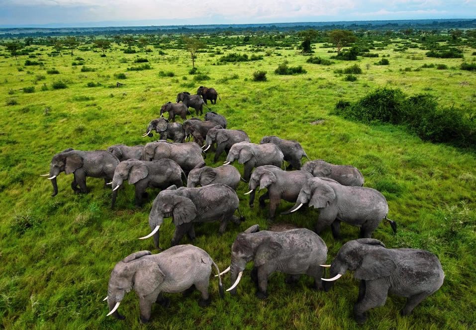 3 Day Queen Elizabeth National Park Safari Itinerary with Nextgen Safaris