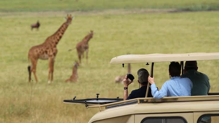 Akagera National Park Safari for Families in Rwanda