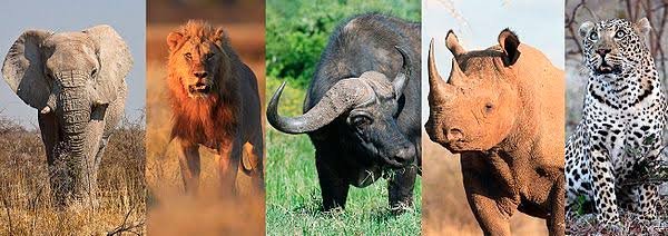 Akagera National Park offers the classic savannah component of Rwanda Safaris from Germany. The park’s landscape