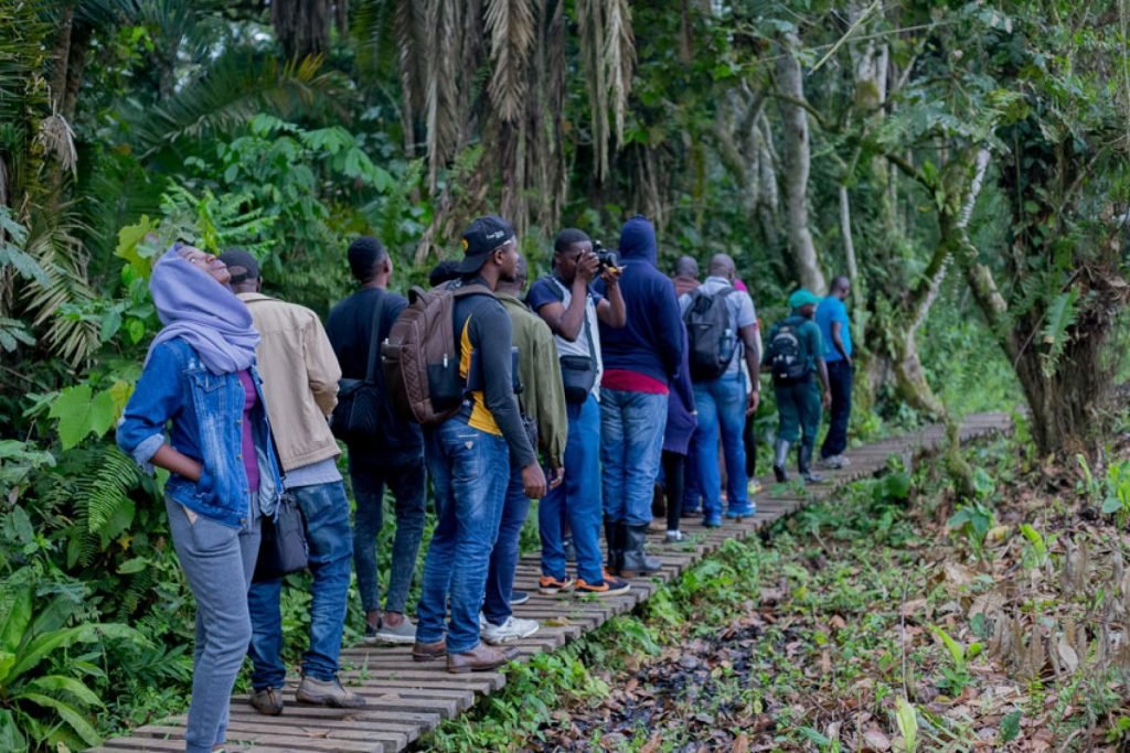 Bigodi Wetland Walk in Kibale Forest