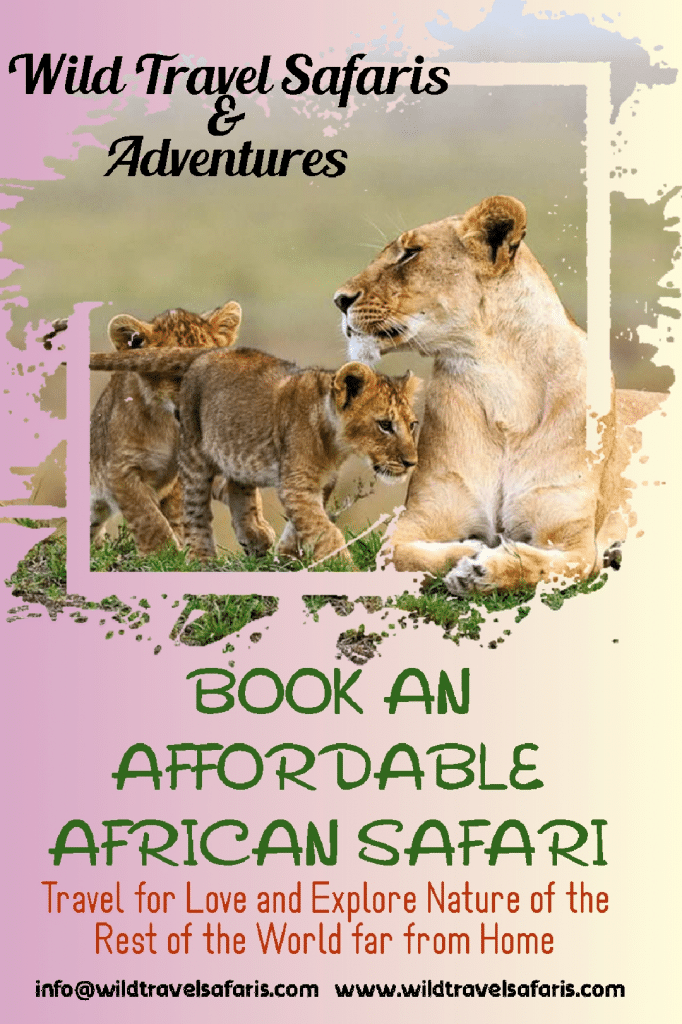 Uganda safari prices and booking options with Nextgen Safaris