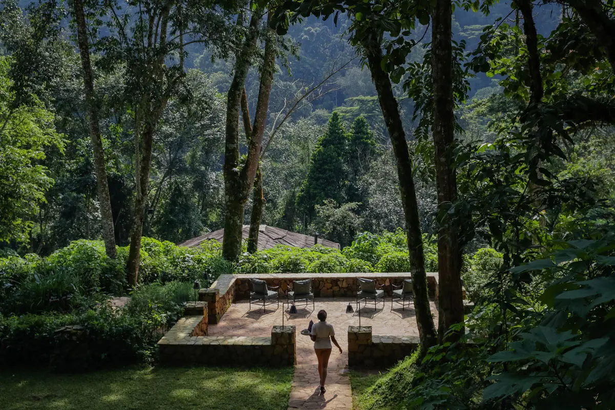 Bwindi Lodge is another important name among Uganda Luxury Lodges and is particularly attractive for guests trekking from the Buhoma side of Bwindi. The property currently has ten hand-built