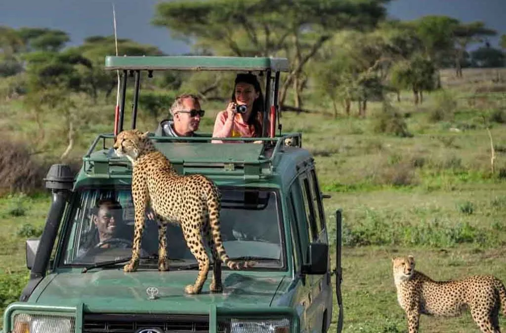 Custom Uganda Safari Packages