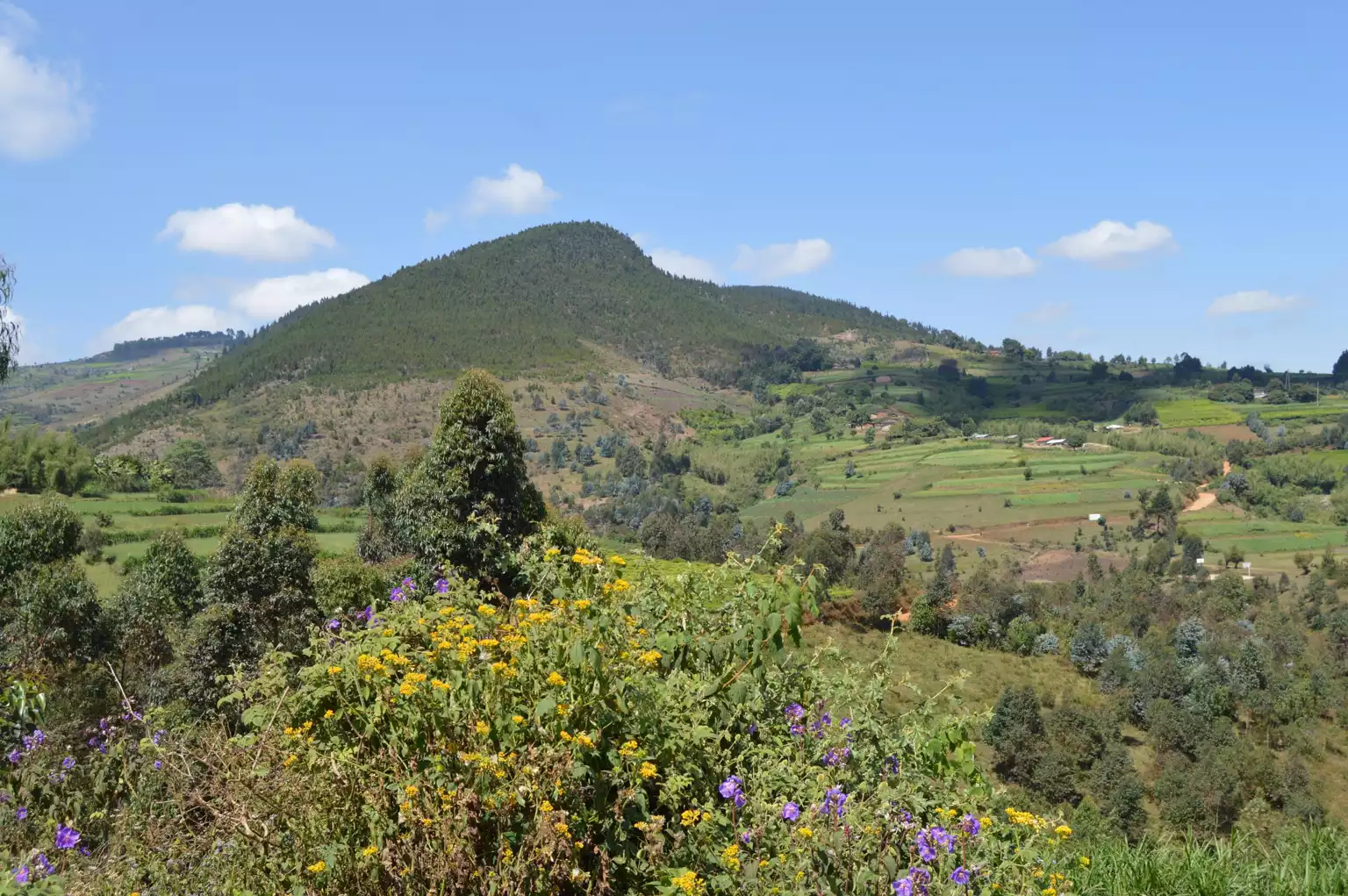 Discovering the Beauty of Kibira National Park Burundi