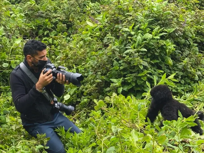 Best Gorilla Trekking and Victoria Falls Safari Itineraries
