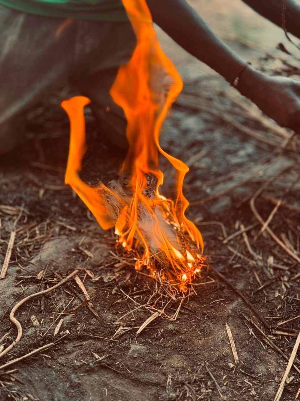 Fire With Nextgen Safaris