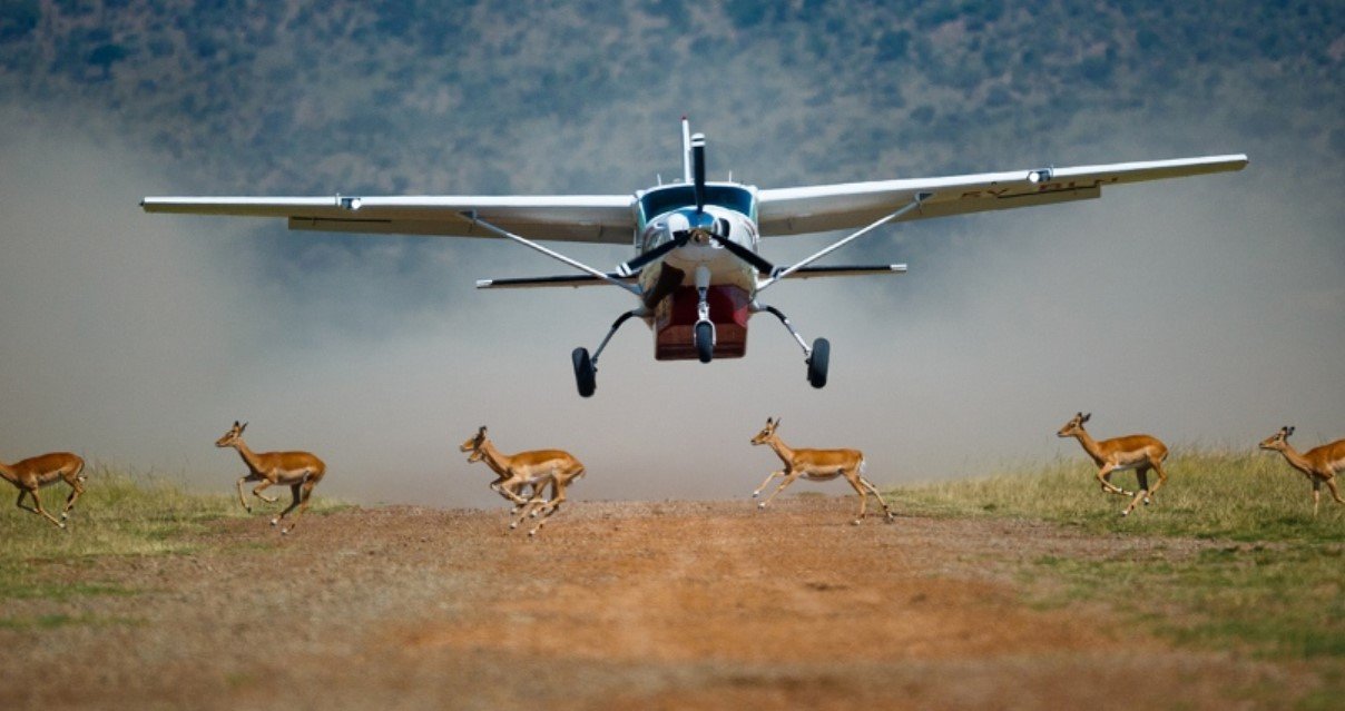 A fly-in Kidepo Valley Safari transforms what would otherwise be a long road journey into a much more efficient wilderness escape. Travelers can depart from