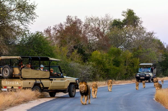 Game Drives in Kidepo Valley National Park