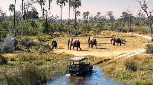 Game Drives in Pian Upe Wildlife Reserve