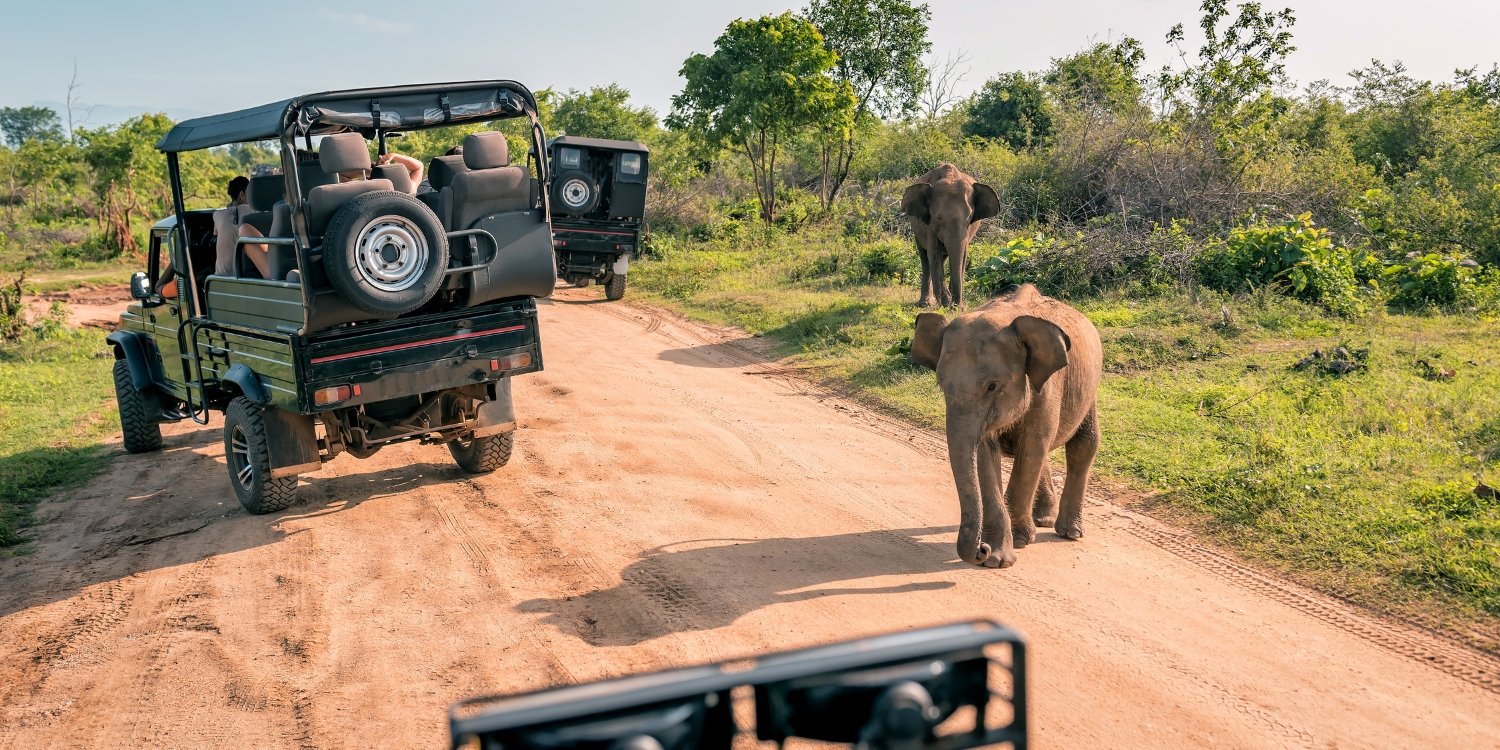 Travelers looking beyond Uganda’s main national parks can consider Toro-Semliki Wildlife Reserve. Uganda Wildlife Authority describes three game-drive tracks across the reserve’s savannah grassland, where elephants, buffaloes, waterbucks, warthogs and Uganda kobs may be encountered.