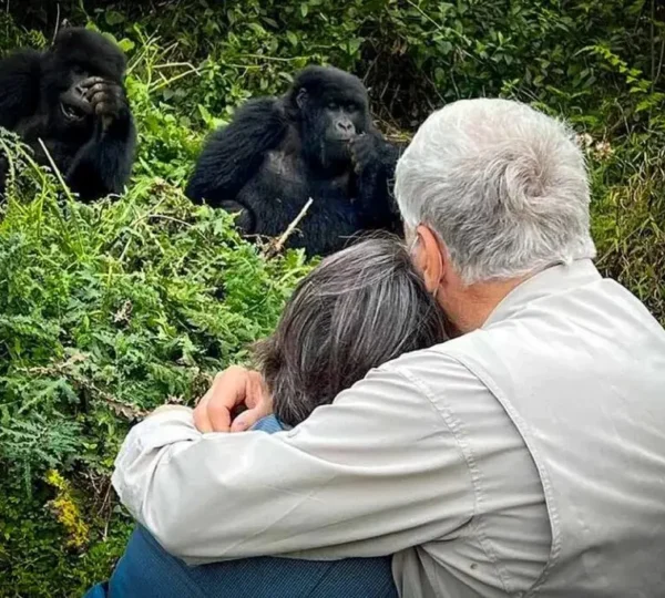 5 Days Rwanda Honeymoon Gorilla Safari