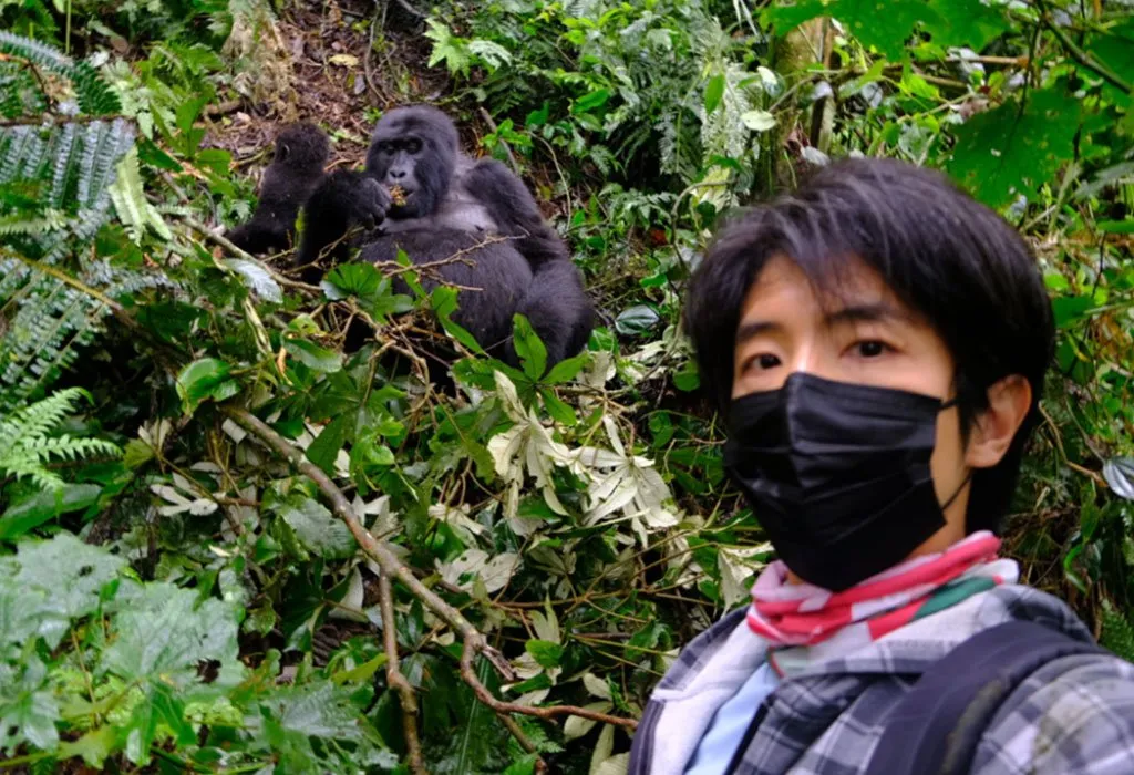 Mountain gorilla trekking is one of Uganda’s greatest wildlife experiences, but it requires careful family planning. Uganda Wildlife Authority’s current tracking guidelines set the minimum age at 15 
