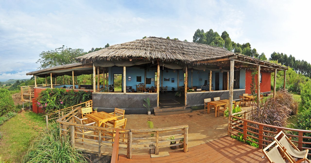 Isunga Lodge is one of the most highly recommended mid-range lodges near Kibale Forest National Park because of its spectacular location overlooking the rainforest, the Rwenzori Mountains, and Queen Elizabeth National Park in the distance. The lodge sits on a peaceful hillside surrounded by natural vegetation, creating 