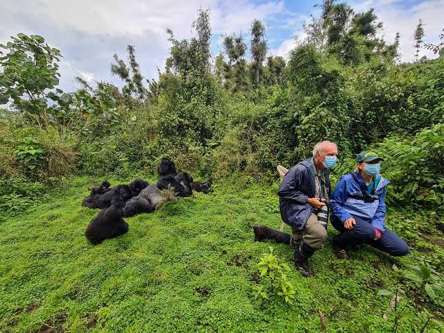 Japanese Gorilla Trekking Tours Uganda and Rwanda