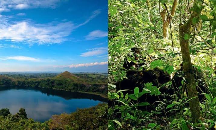 Kibale Weather Guide Uganda