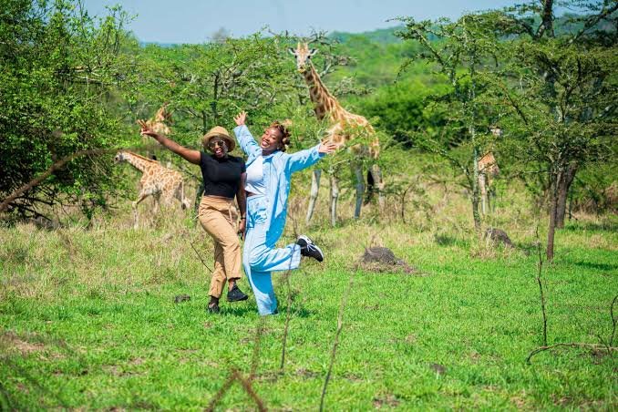 For many travelers, Lake Mburo National Park is the strongest destination for a classic Uganda Walking Safari. Uganda Wildlife Authority promotes guided walking safaris as one of the park’s principal experiences alongside game drives and boat safaris. Lake Mburo is also Uganda’s most accessible savannah national park from Kampala and is especially known for zebras and impalas. Its 