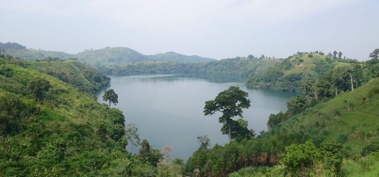 Lake Nkuruba is another beautiful crater lake located near Kibale Forest. It is particularly popular because of its scenic surroundings, community tourism initiatives, and