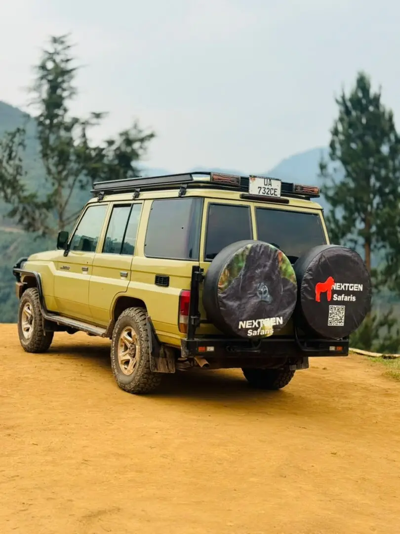 The Uganda Travel Costs for a complete safari are usually influenced by the number of days included. A short gorilla