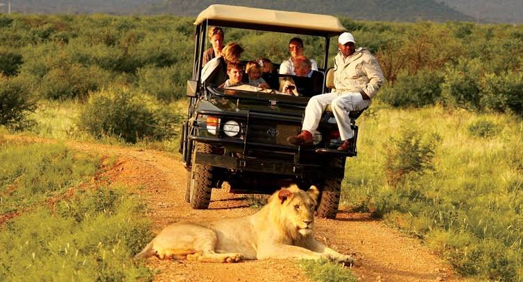 Luxury Uganda Safari Packages
