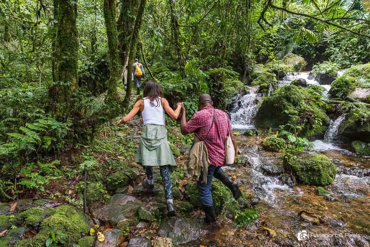 safaris focus on more than expensive accommodation. Travelers paying premium rates generally expect excellent communication, seamless transportation, high-quality guiding, comfortable vehicles, well-positioned lodges, carefully planned meals, flexible schedules, and rapid assistance