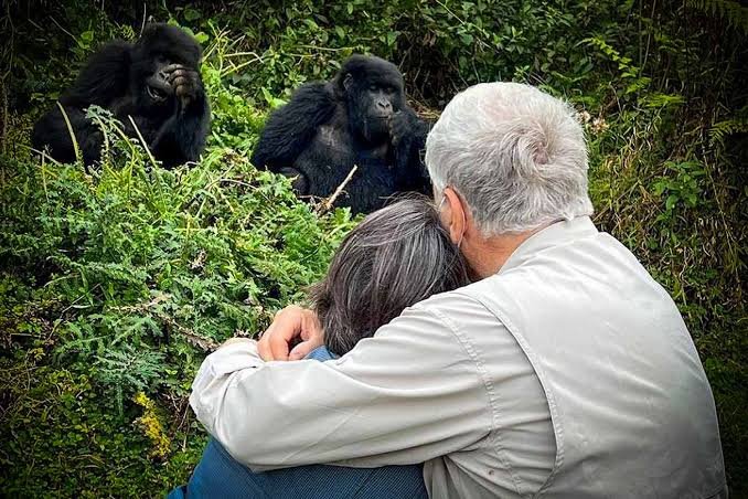 Couples who want to explore Uganda’s Virunga region can include Mgahinga Gorilla National Park as an alternative or addition to Bwindi. Mgahinga protects part of the Virunga landscape and offers mountain gorilla experiences