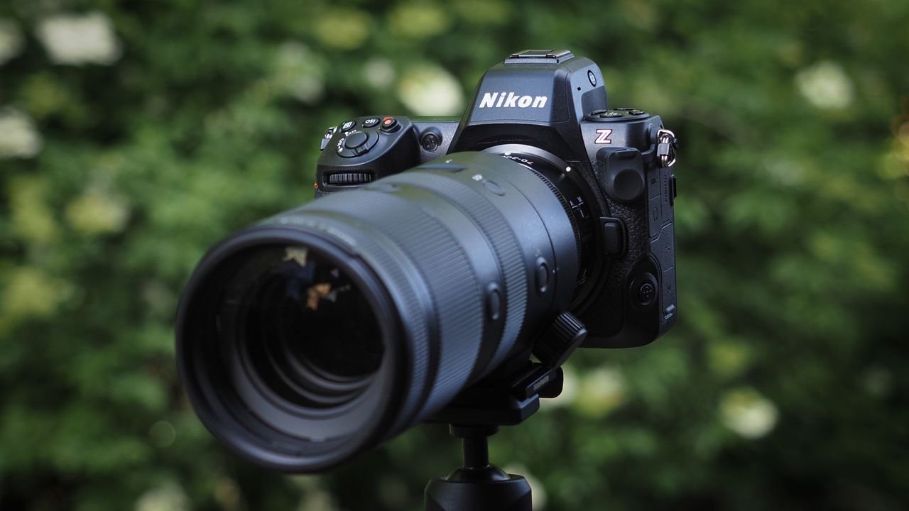 Modern mirrorless cameras have become increasingly popular among wildlife photographers because they are lightweight, fast, and offer advanced autofocus