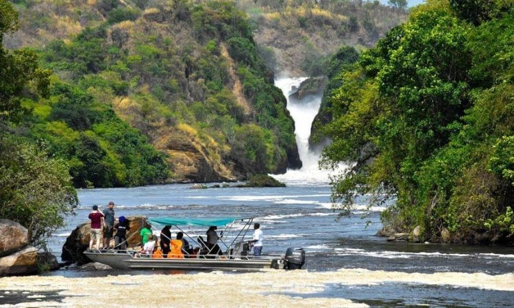 Murchison Falls Safari Reviews with Nextgen Safaris
