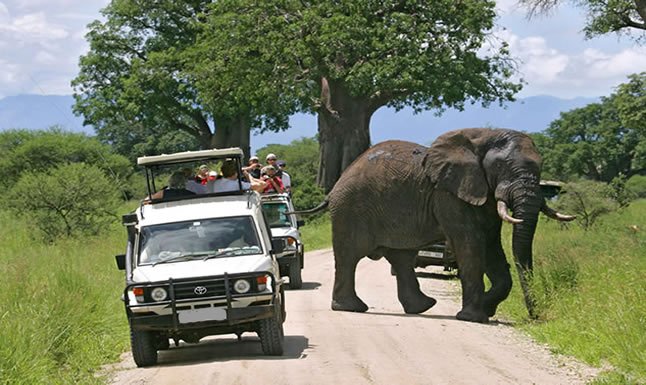 Murchison Falls National Park combines savannah game viewing with the Nile and one of Uganda’s most dramatic natural landmarks. It can be explored as part of an Uganda Self-Drive Safari, but 