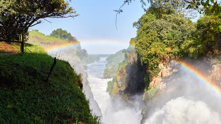 Murchison Falls Uganda Safari Experience