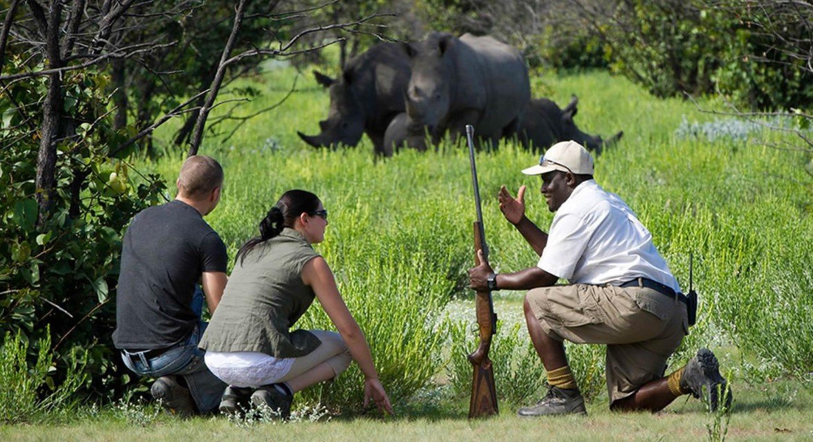 Ziwa also offers guided nature walks through different sections of the 