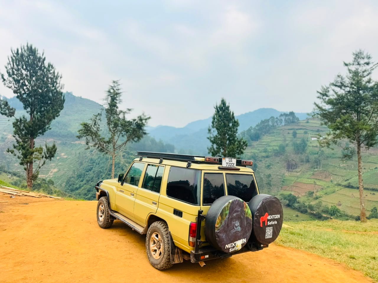 Best Time for Rwanda Gorilla Trekking from Kigali