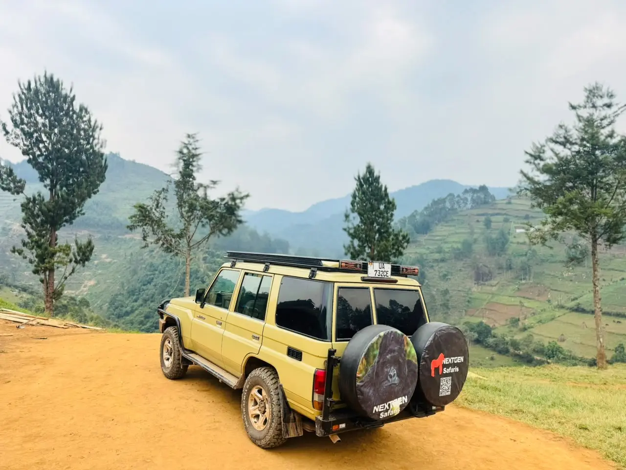 Best Time for Rwanda Gorilla Trekking from Kigali